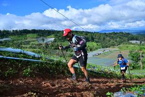 BIB: 8353
                            <button type="button" onclick="openModal(13380818)" class="btn btn-primary btn-sm float-right btn-popup" data-toggle="modal" data-target=".modal-high-quality">
                        <i class="fas fa-shopping-cart"></i> Add to Cart
                    </button>
                                            <button type="button" onclick="isThisMe(13380818, true)" class="btn btn-success btn-sm float-right btn-popup btn-isme hidden" data-toggle="tooltip" data-placement="bottom" title="นี่คือรูปของคุณใช่ไหม คลิกที่นี่เพื่อเอาเข้าอัลบั้ม">
                        <i class="fas fa-plus"></i> Add to album
                    </button>
                    <button type="button" onclick="isThisMe(13380818, false)" class="btn btn-warning btn-sm float-right btn-popup btn-isnotme hidden">
                        <i class="fas fa-ban"></i> Remove from album
                    </button>